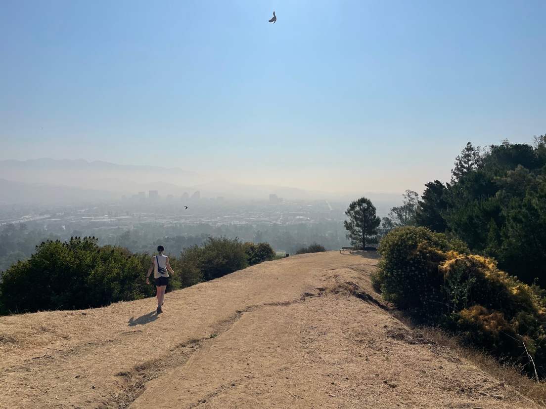 Emmy stands far away from the camera in front of a panoramic view of Los Angeles from the top of a mountain